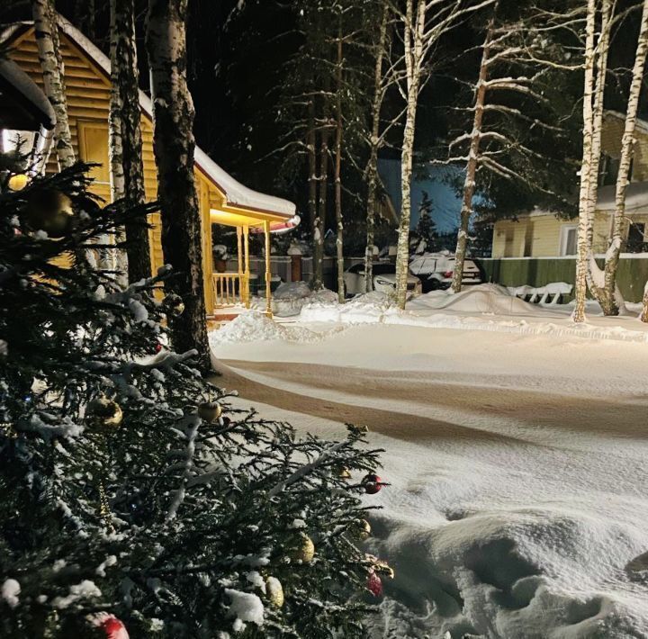 дом городской округ Егорьевск д Панино снт Электрон фото 32