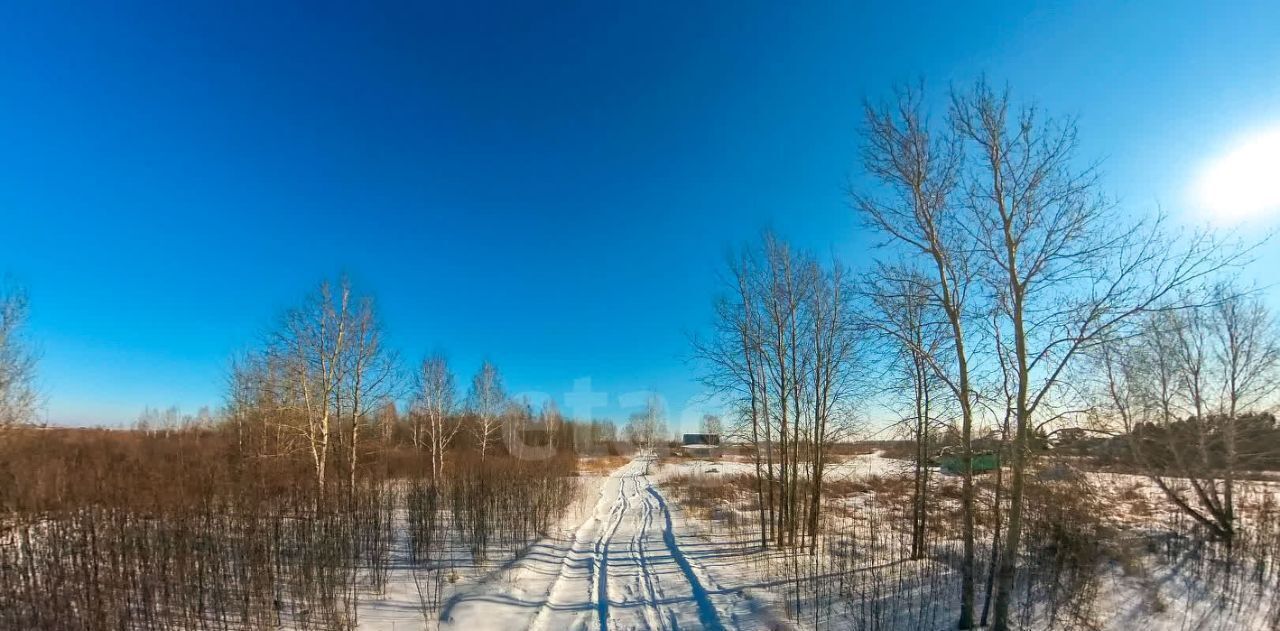 земля г Тюмень р-н Ленинский снт Яровское ул. Сливовая фото 4