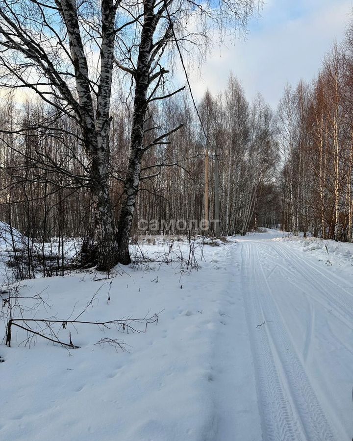 земля г Бор д. Приклонное фото 3