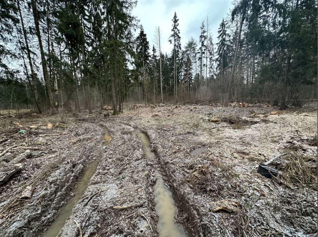 земля городской округ Наро-Фоминский д Сумино ул Лесная 1 Наро-Фоминск фото 2