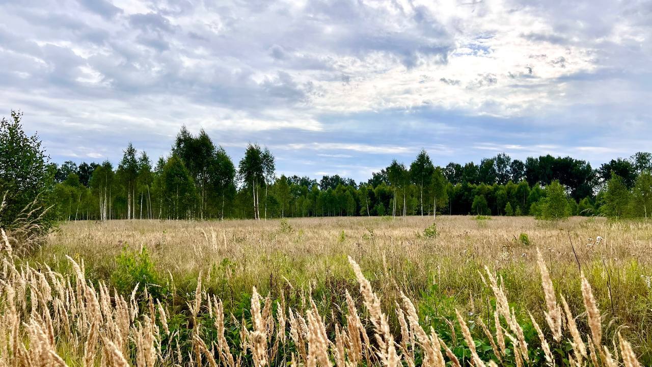 земля городской округ Волоколамский д Голоперово Новорижское шоссе фото 2