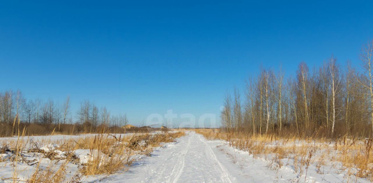 земля г Тюмень р-н Ленинский снт Яровское ул. Сливовая фото 9