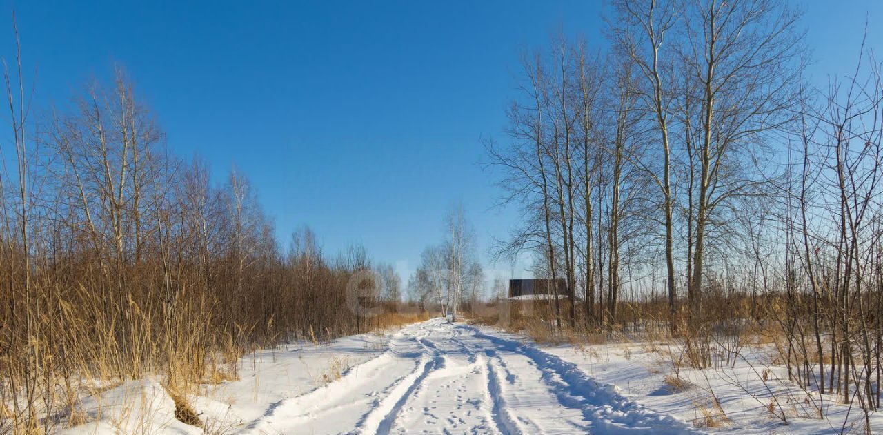 земля г Тюмень р-н Ленинский снт Яровское ул. Сливовая фото 11