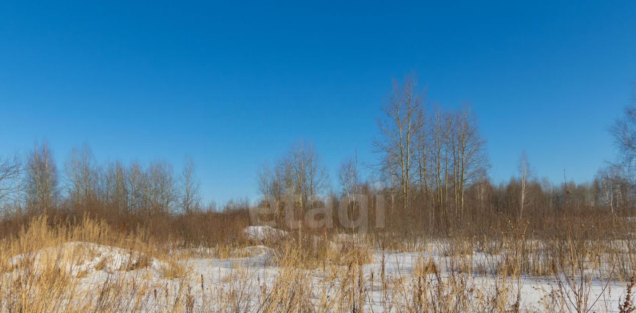 земля г Тюмень р-н Ленинский снт Яровское ул. Сливовая фото 10