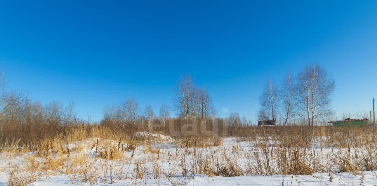 земля г Тюмень р-н Ленинский снт Яровское ул. Сливовая фото 12