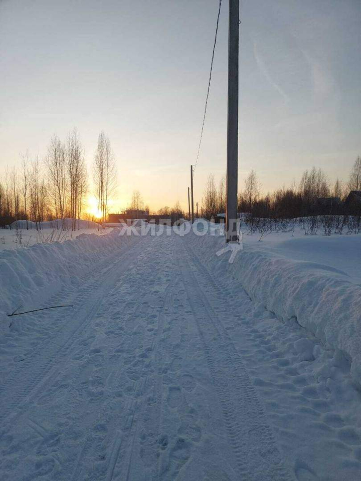 земля р-н Новосибирский станция Мочище, Николая Кунгурова улица фото 5