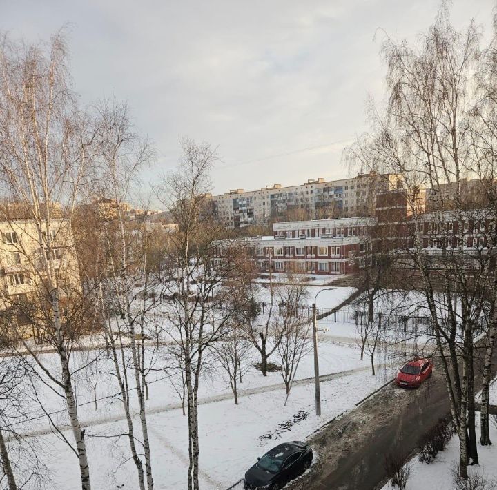 квартира г Санкт-Петербург метро Проспект Ветеранов ул Добровольцев 62к/2 фото 8