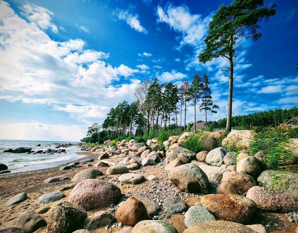 п Пески пер 1-й Перекупной Приморское шоссе, 30 км, Полянское сельское поселение, Песочное фото