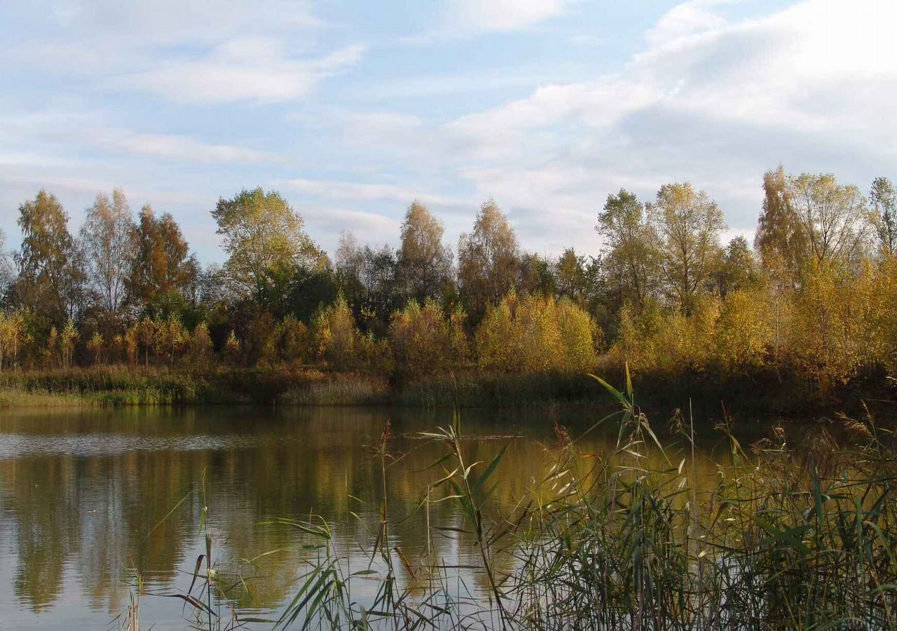 земля городской округ Истра с Лужки 49 км, Глебовский, Волоколамское шоссе фото 8