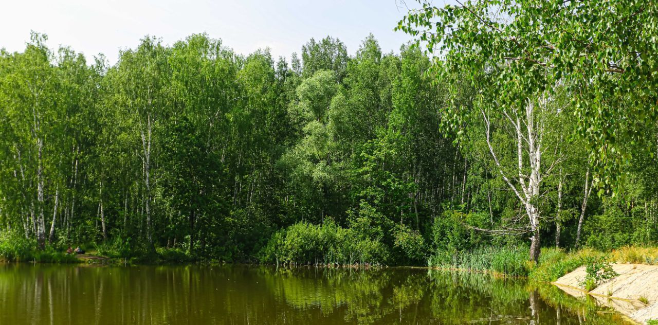 дом р-н Кстовский с Елховка ул Лесная фото 15