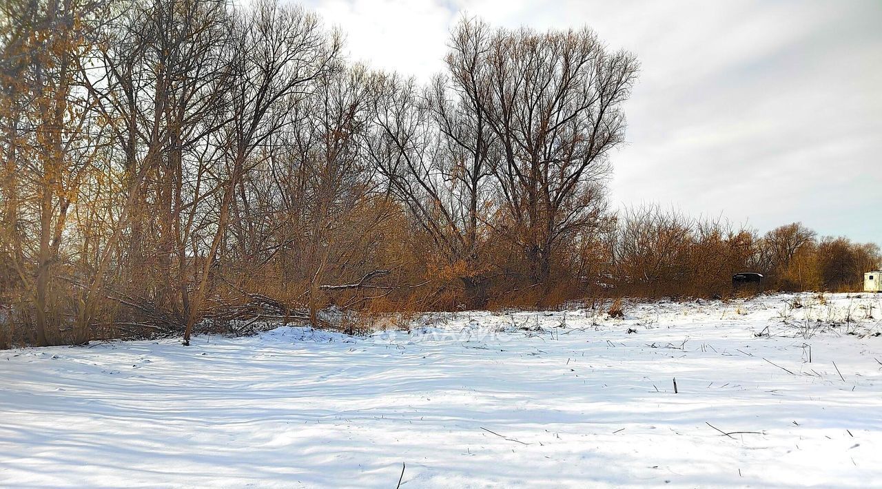 земля городской округ Раменский с Давыдово фото 4