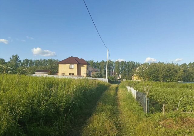 земля Мичуринское сельское поселение, садово-дачное товарищество Заря, Брянский р-н фото