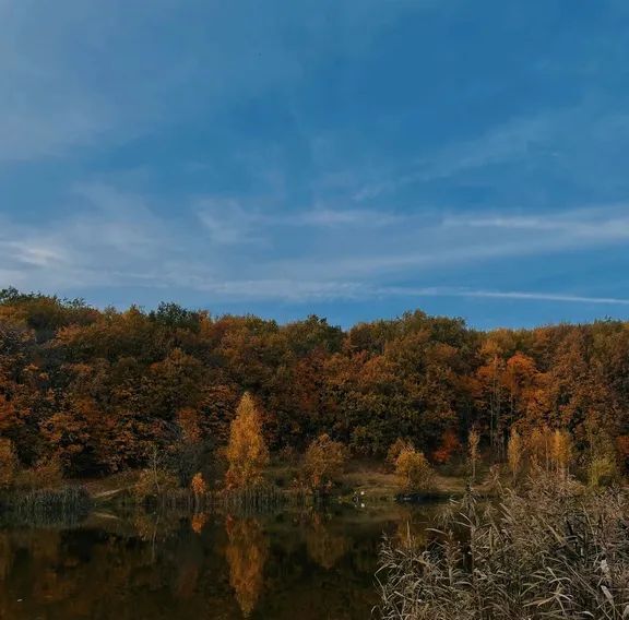 комната г Нижний Новгород д Кузнечиха 161И фото 12