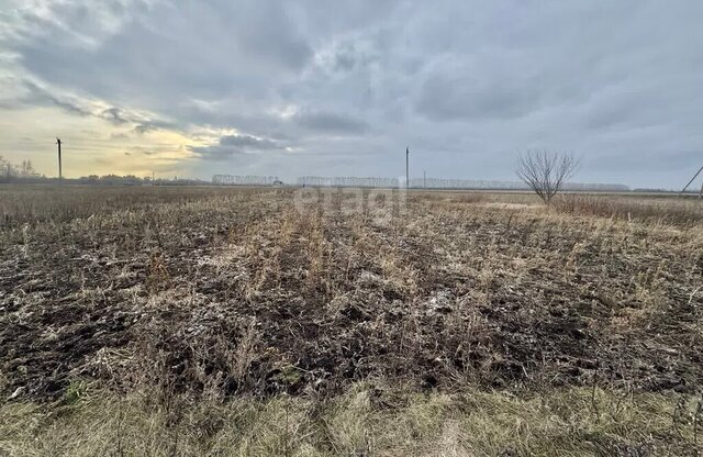 Приозёрная улица, село Берёзово фото