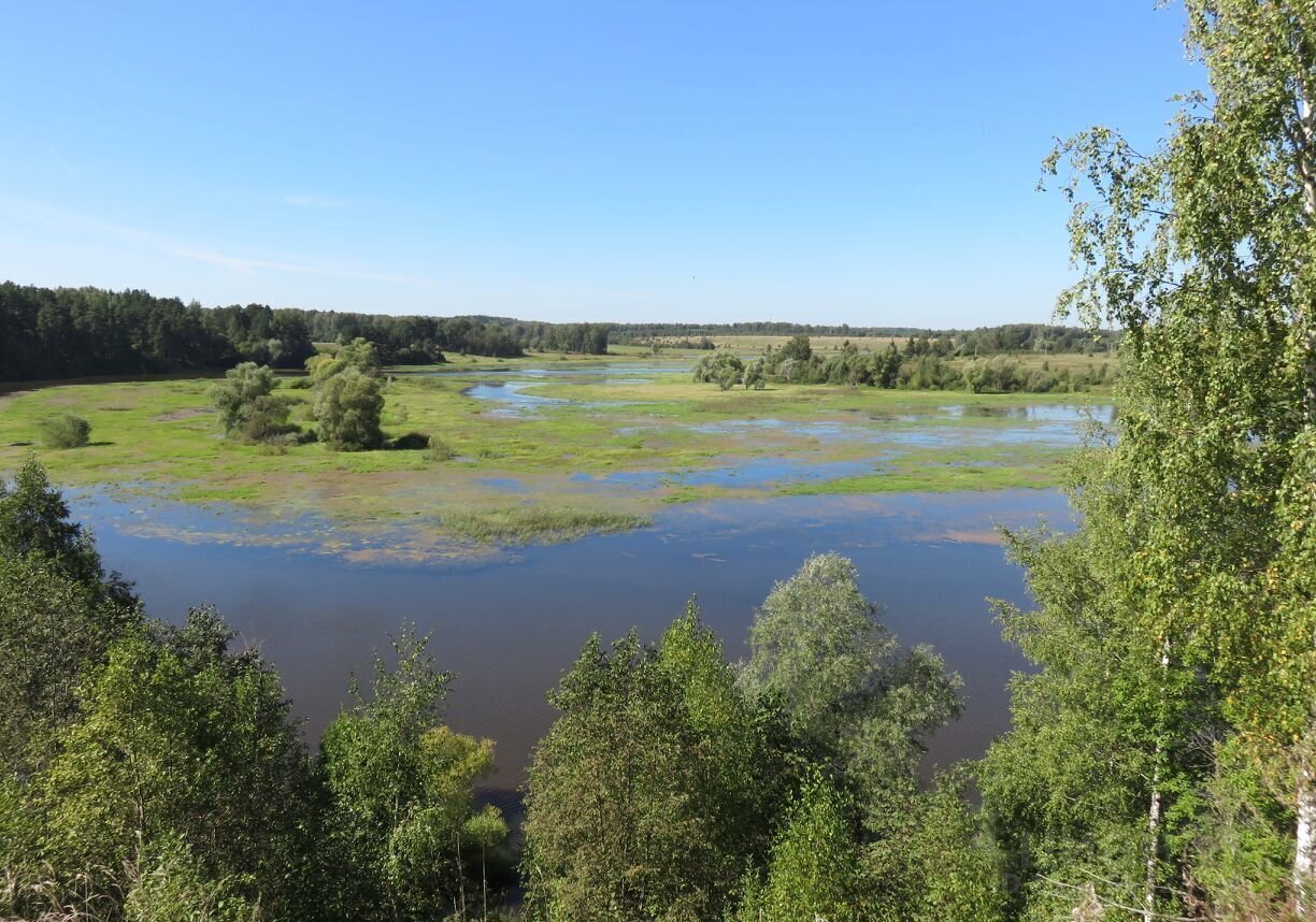 земля городской округ Волоколамский д Соколово ул Круговая 18 100 км, Волоколамск, Новорижское шоссе фото 1