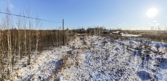 снт Светлое фото