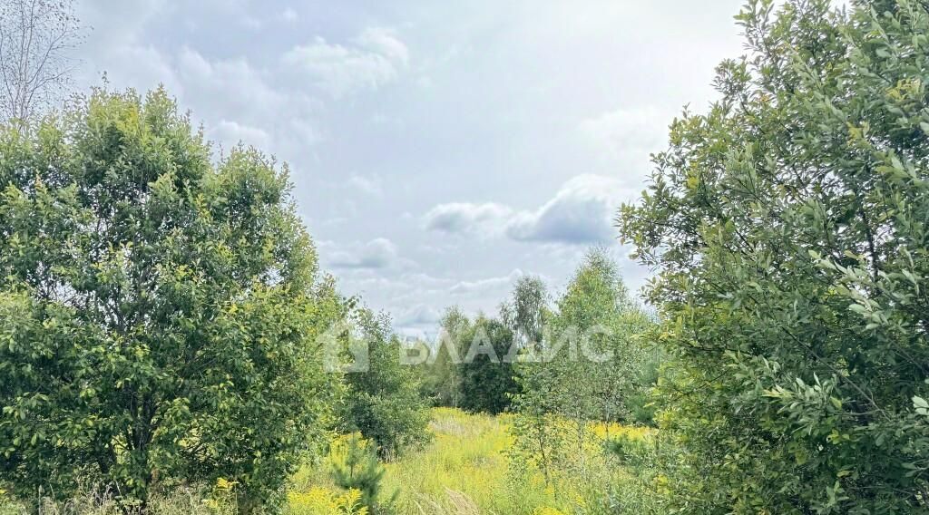 земля г Владимир д Злобино р-н Октябрьский фото 1