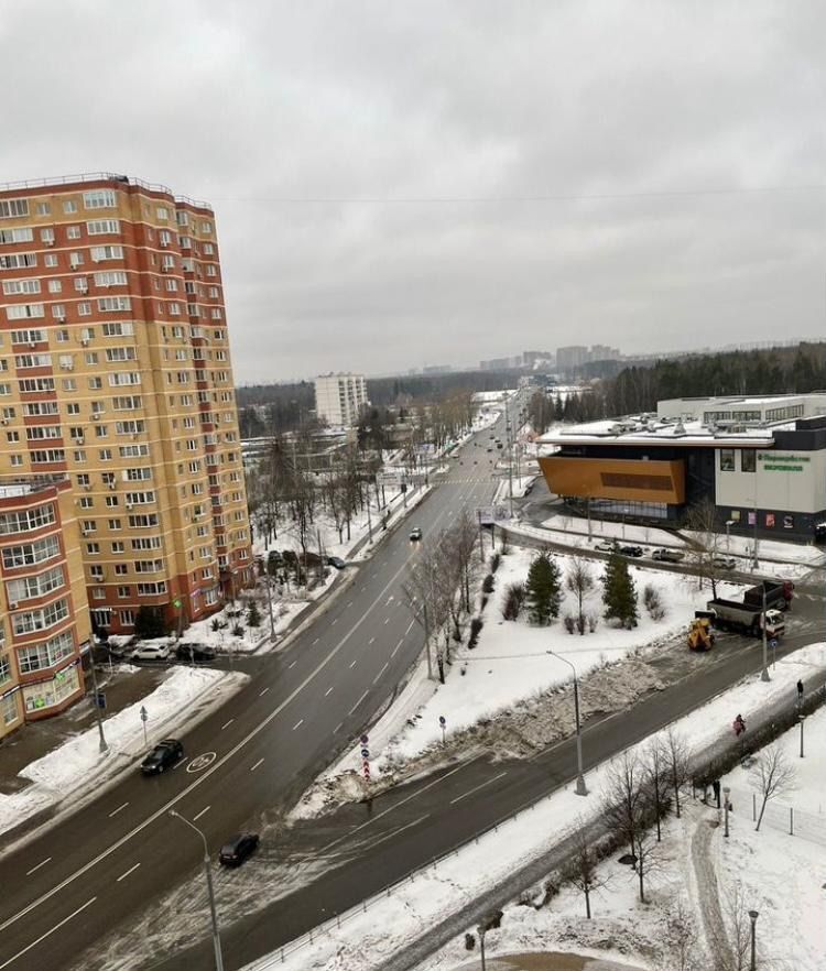 квартира п Московский г Московский ул Атласова 3 Филатов луг, Новомосковский административный округ, Московская область, городской округ Зарайск, Московский фото 4