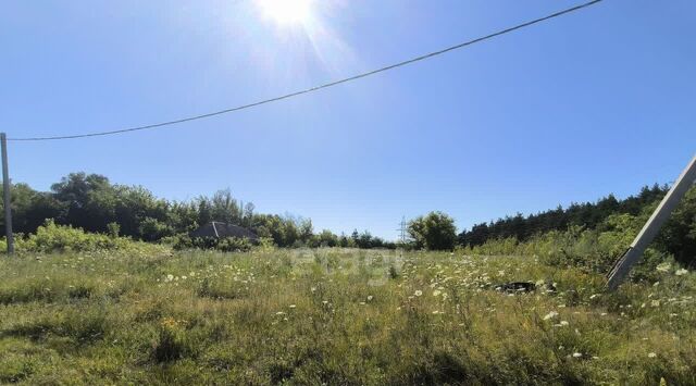 ул Сосновая Старооскольский городской округ фото