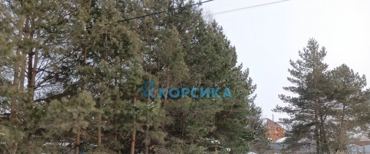 земля г Набережные Челны р-н Автозаводский 67-й комплекс ул Парковая 2 фото 4