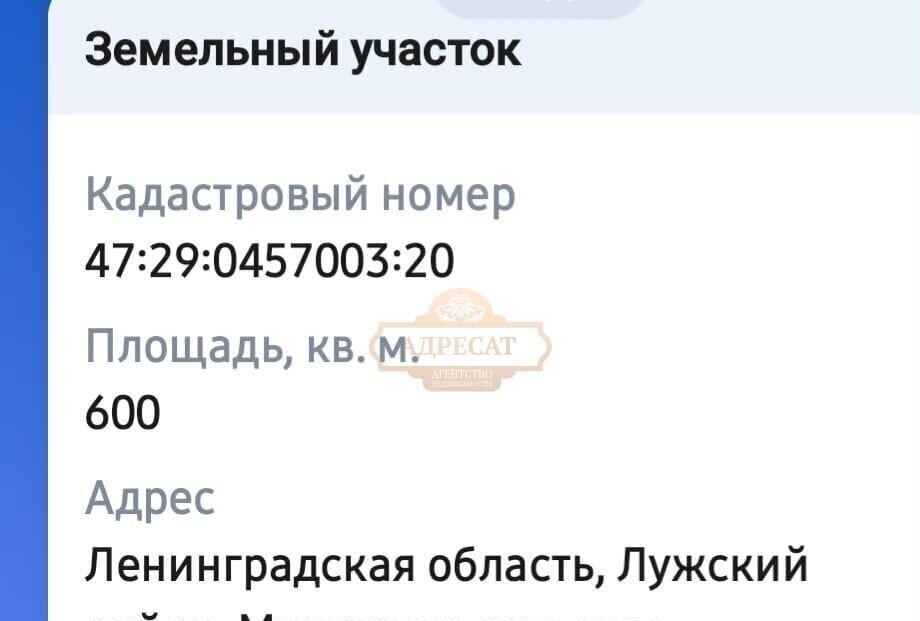 земля р-н Лужский п Мшинская Киевское шоссе, 87 км, Мшинское сельское поселение, садоводческое некоммерческое товарищество Спектр, 163, Толмачево фото 4