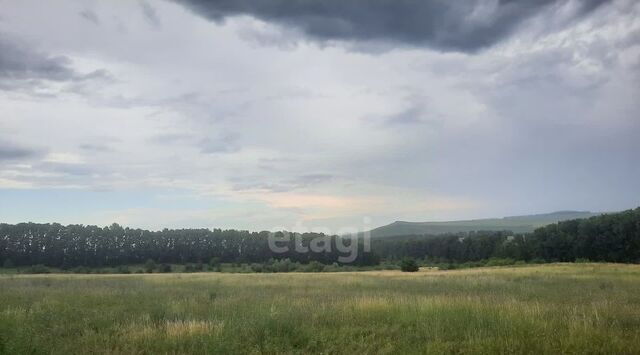 р-н Смоленский с Черновая ул Заречная фото