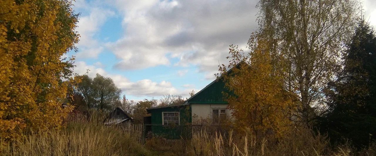 дом городской округ Орехово-Зуевский д Минино фото 1