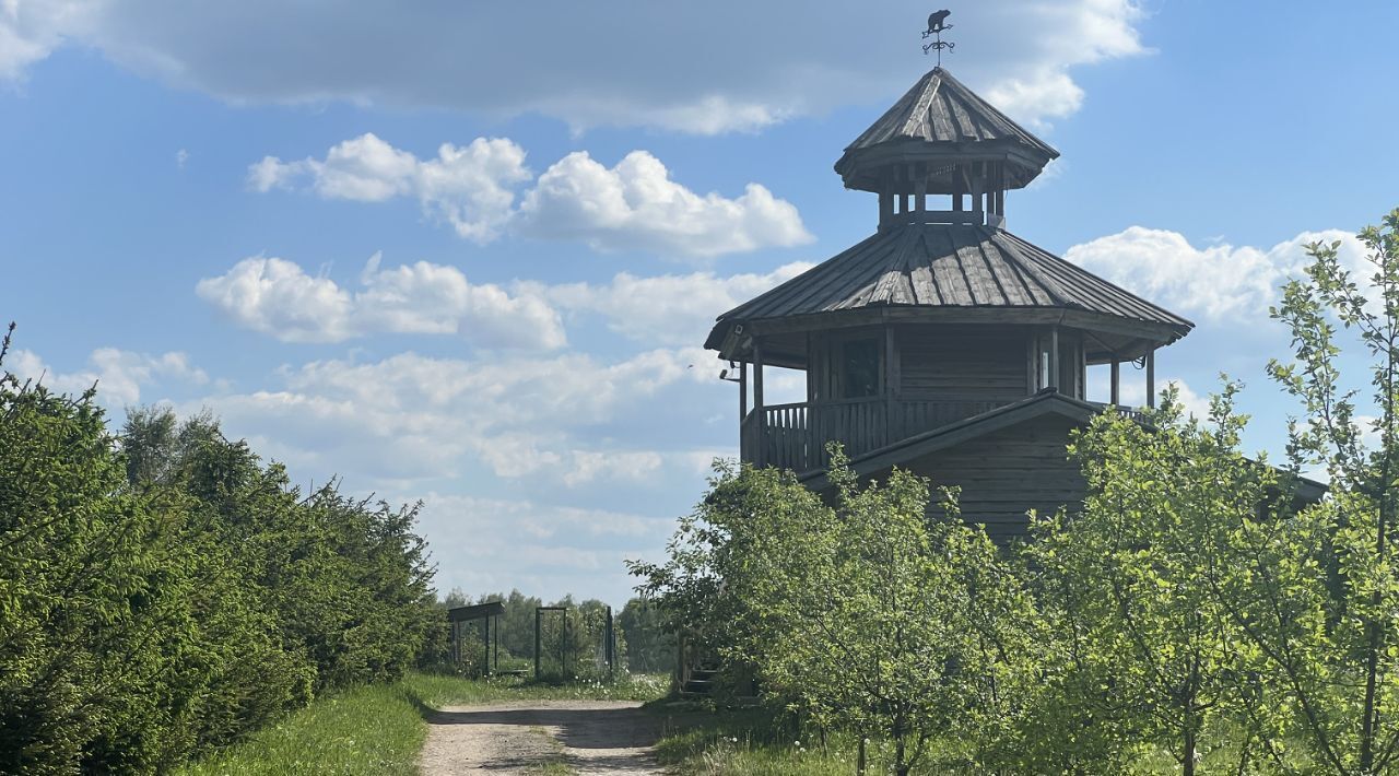 земля городской округ Можайский д Головино фото 15