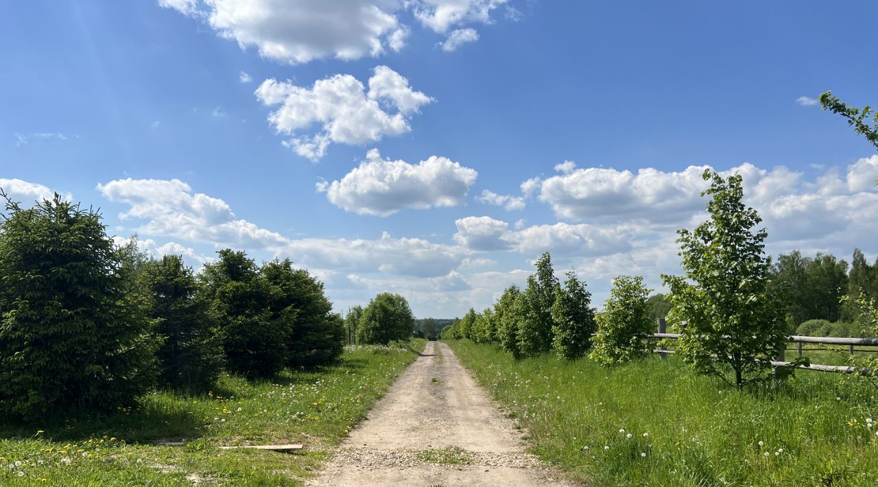 земля городской округ Можайский д Головино фото 19