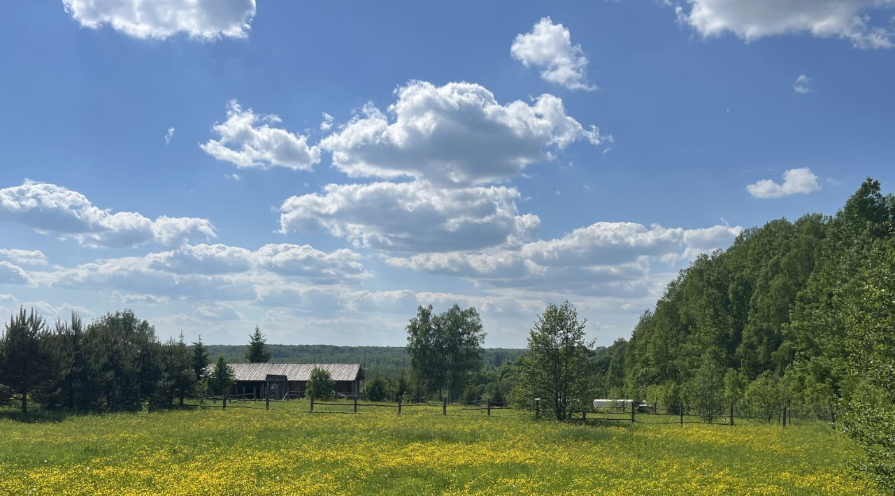 земля городской округ Можайский д Головино фото 33