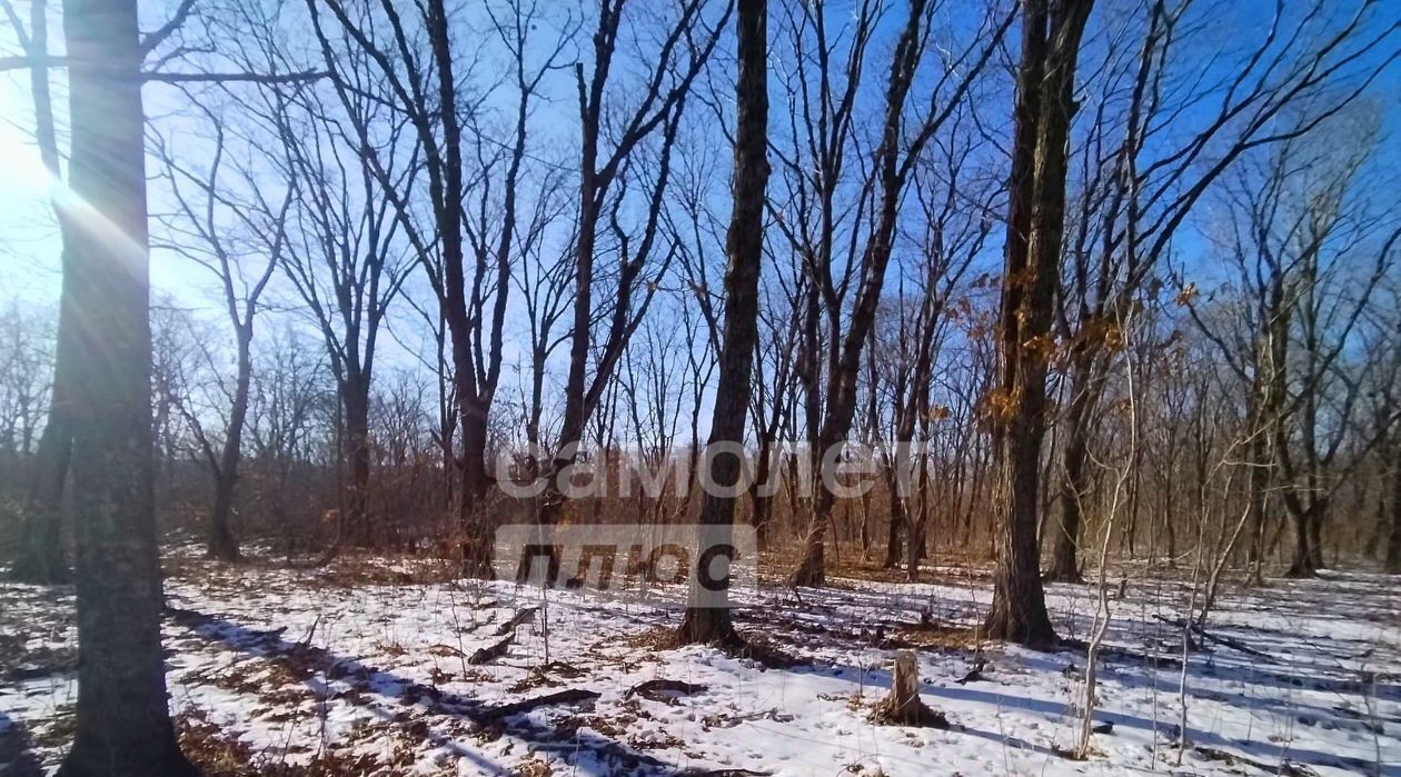 земля г Фокино ул Горная 18 фото 3
