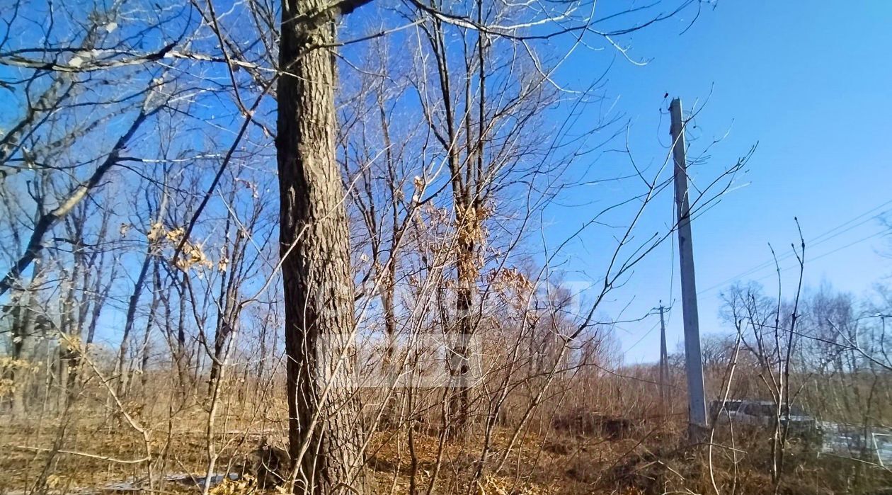 земля г Фокино ул Горная 18 фото 9