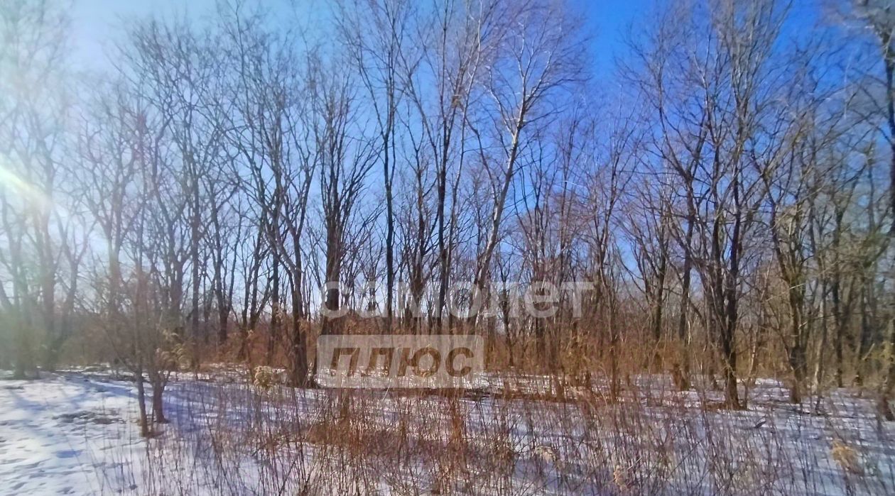 земля г Фокино ул Горная 18 фото 5