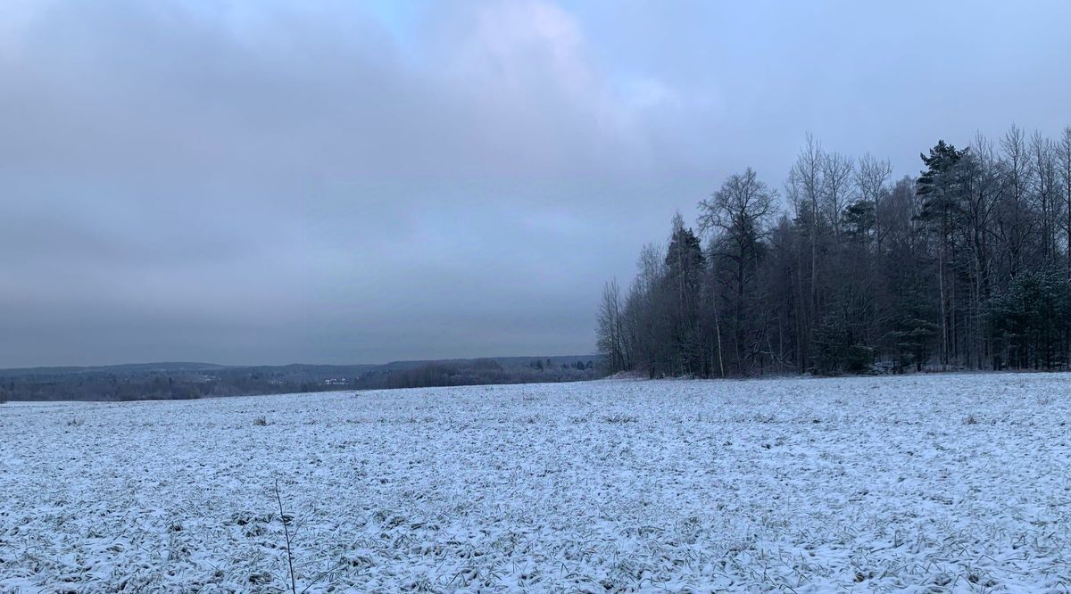 земля р-н Выборгский Рощинское городское поселение фото 3