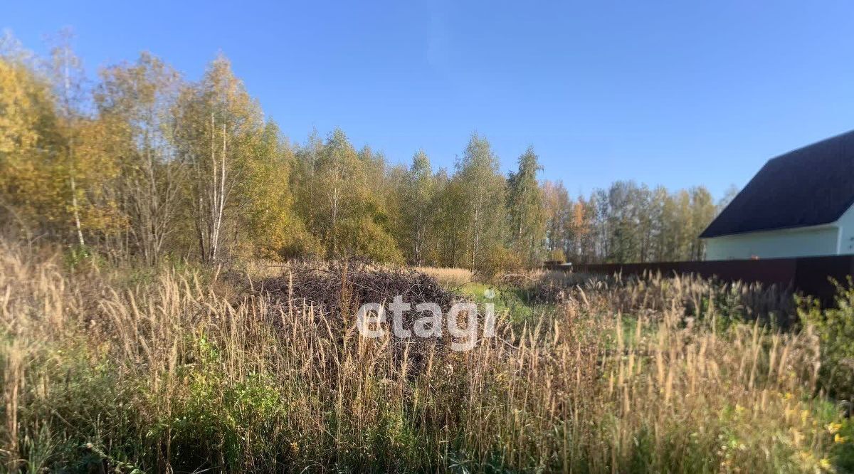 земля р-н Петушинский д Новое Аннино ул Центральная Петушинское муниципальное образование фото 8