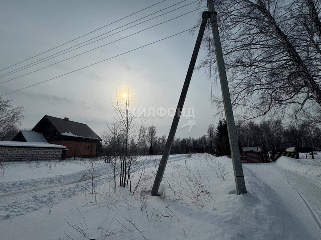 р-н Новосибирский с Боровое ул Кленовая фото