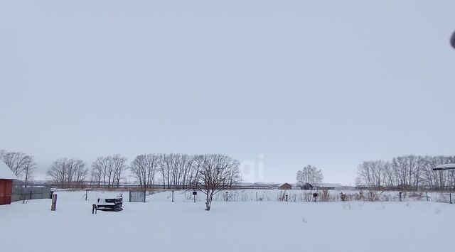 ул Центральная 75 Айгулевский сельсовет фото