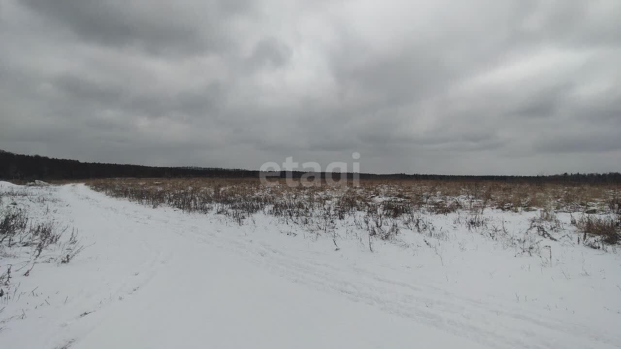 земля городской округ Серпухов д Калугино фото 4