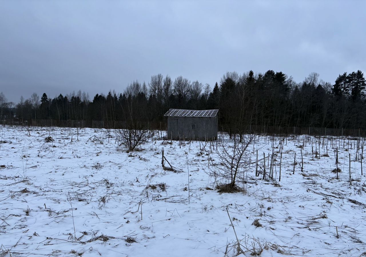 земля городской округ Волоколамский д Середниково 97 км, Волоколамск, Новорижское шоссе фото 4