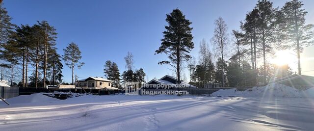 земля массив Васкелово нп 3-я Линия Сертоловское городское поселение, Памир кп фото