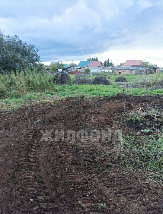 земля р-н Томский д Барабинка ул Лесная фото 3