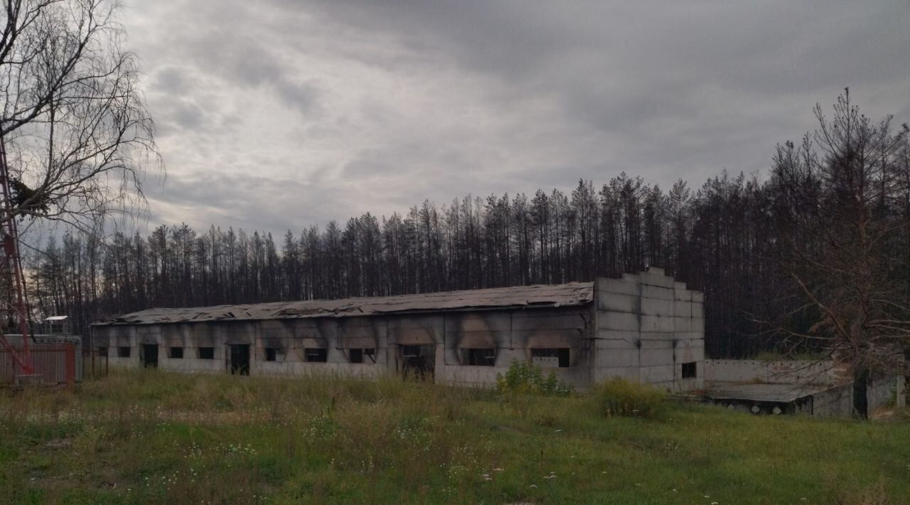 производственные, складские р-н Шадринский с Юлдус ул Молодежная 33 фото 4