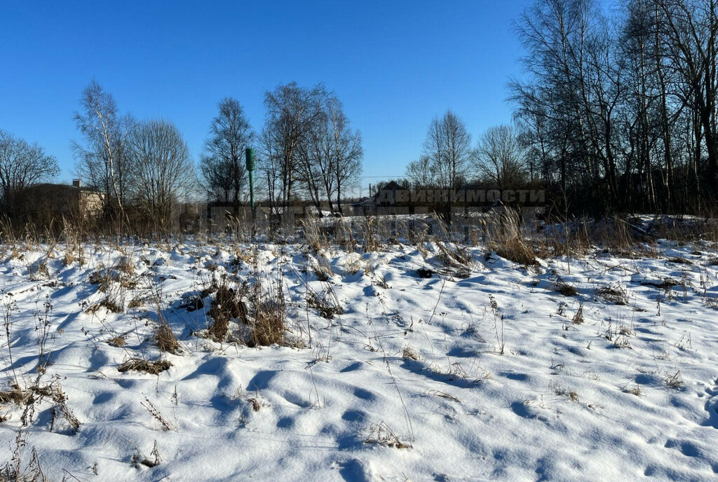 земля р-н Смоленский д Сож ул Дачная Смоленский муниципальный округ фото 2