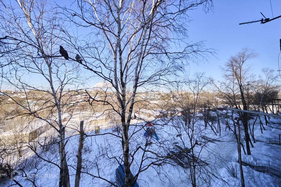 квартира г Хабаровск ул Ворошилова 61 Хабаровск городской округ фото 10