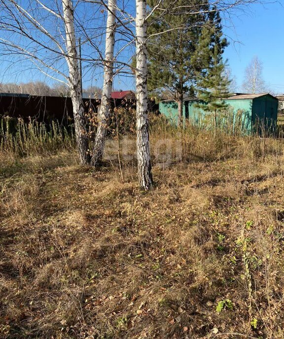 земля р-н Новосибирский снт Надежда-2 Барышевский сельсовет, Речной Вокзал фото 3