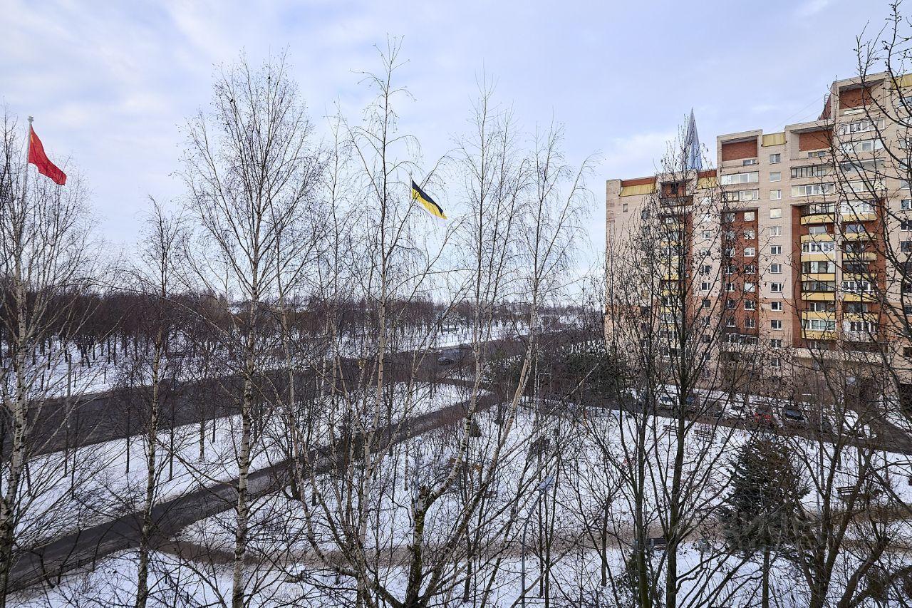 квартира г Санкт-Петербург пр-кт Приморский 151 округ № 65, Ленинградская область фото 26