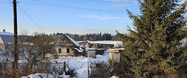 р-н Ломоносовский д Шундорово Таллинское шоссе, 24 км, Кипенское сельское поселение, 5А, Жабино фото