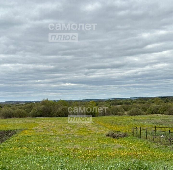 земля р-н Оршанский д Нижняя Лопсола ул Нижняя Лопсола Великопольское с/пос фото 3