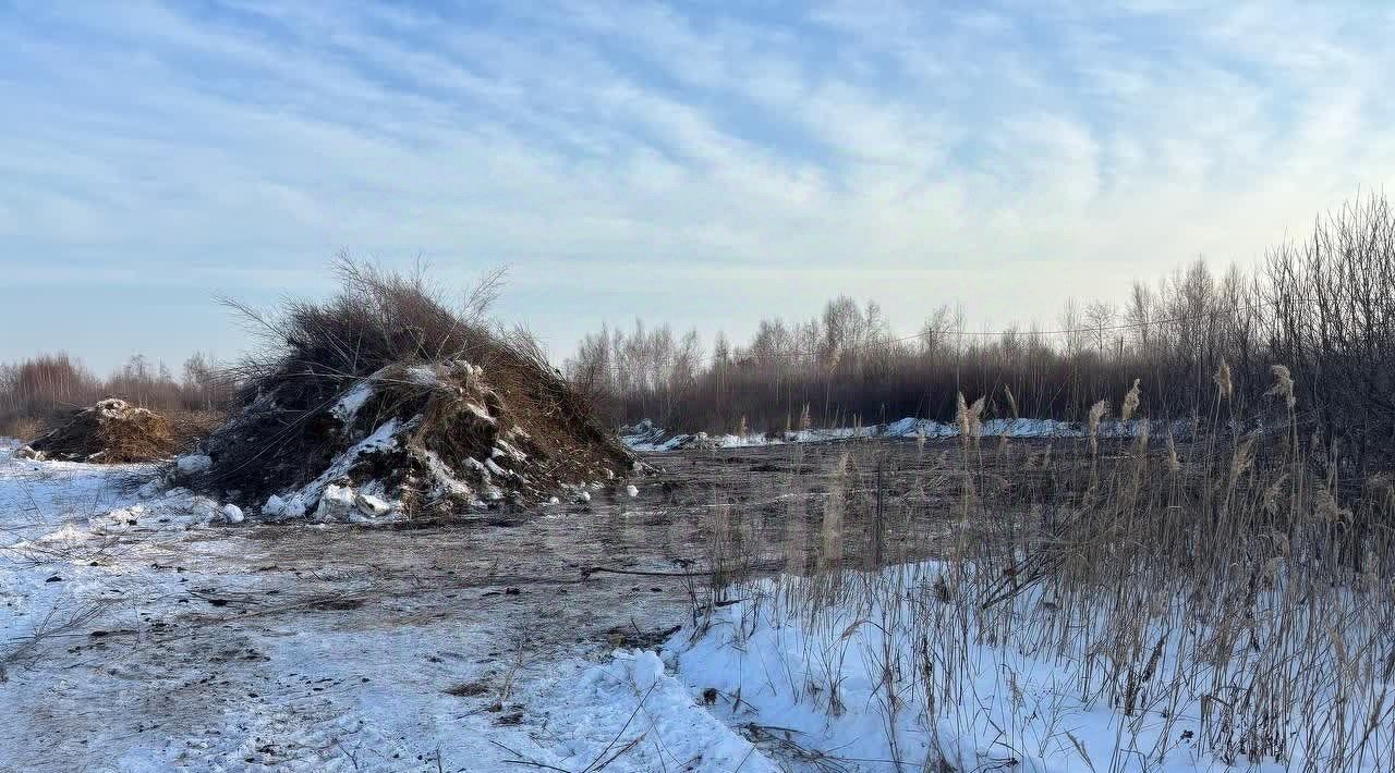 земля г Тюмень р-н Центральный снт Большое Царево-2 фото 18