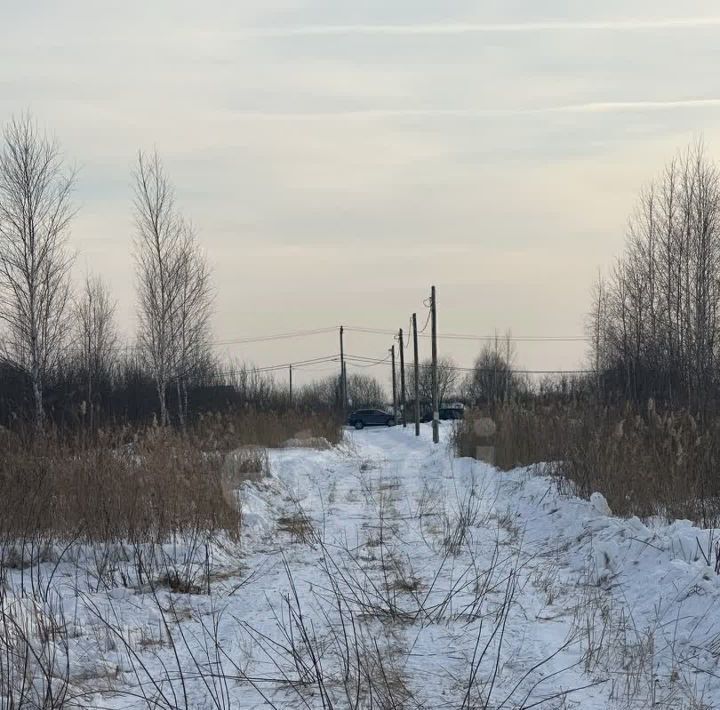 земля г Тюмень р-н Центральный снт Большое Царево-2 фото 11